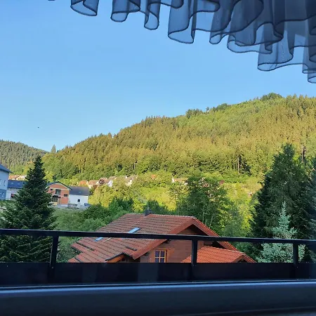 Wildbad Luft شقة