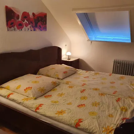 Wildbad Luft Apartment *