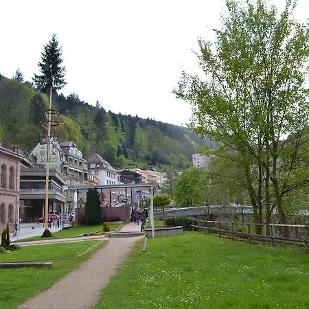Apartment Wildbad Luft *