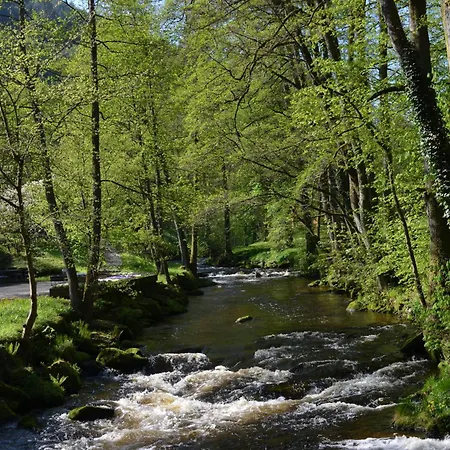 Wildbad Luft * Bad Wildbad