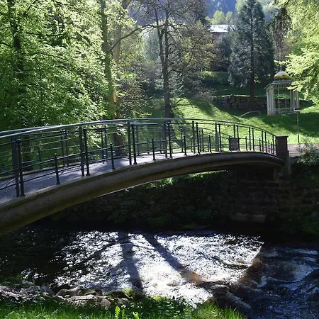 Wildbad Luft