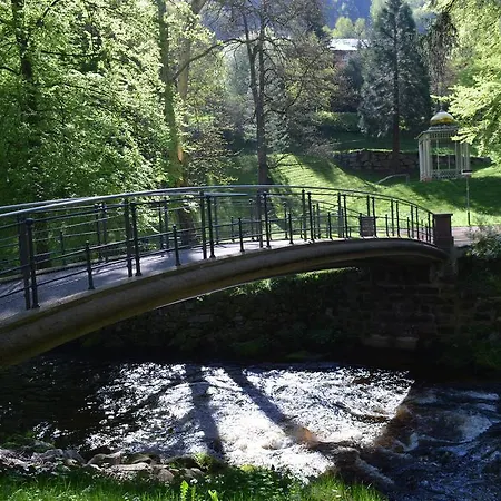 Wildbad Luft