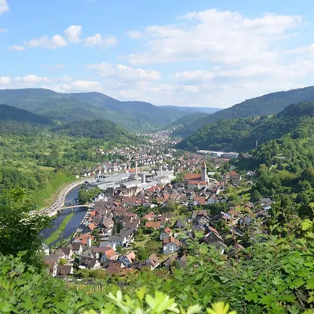 Wildbad Luft Apartment *