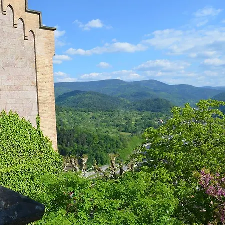 شقة Wildbad Luft باد ويلباد